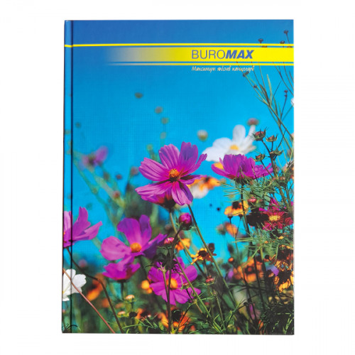 Книга обліку А4 (96 аркушів) Книга обліку А4 (96 аркушів)