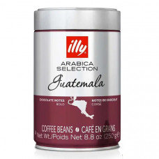 Кава в зернах ILLY Guatemala з/б 250 г Кава в зернах ILLY Guatemala з/б 250 г